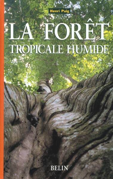 FORET TROPICALE HUMIDE
