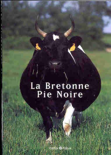 La Bretonne Pie Noire