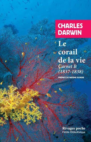 Le corail de la vie : carnet B (1837-1838)