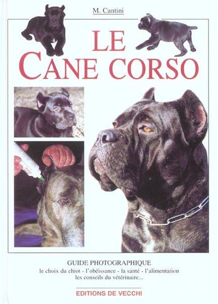 Le Cane Corso