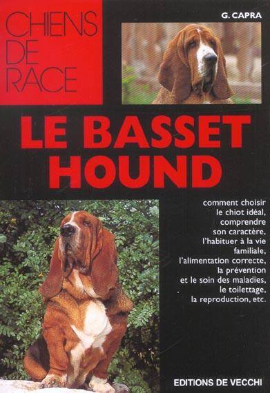 Le Basset Hound