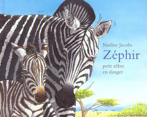Zephir Petit Zebre en Danger