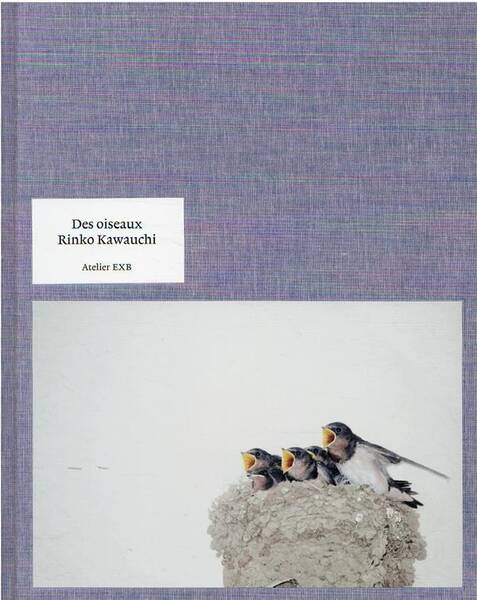 Des Oiseaux Rinko Kawauchi - Version Fra
