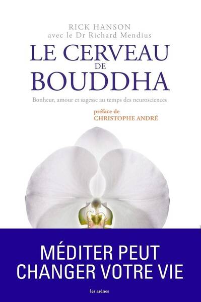 Cerveau de bouddha le