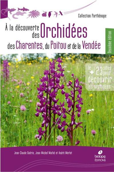 A la Decouverte des Orchidees de Poitou Charentes et de Vendee 2e