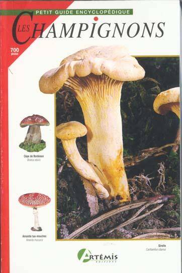 Champignons (Les)