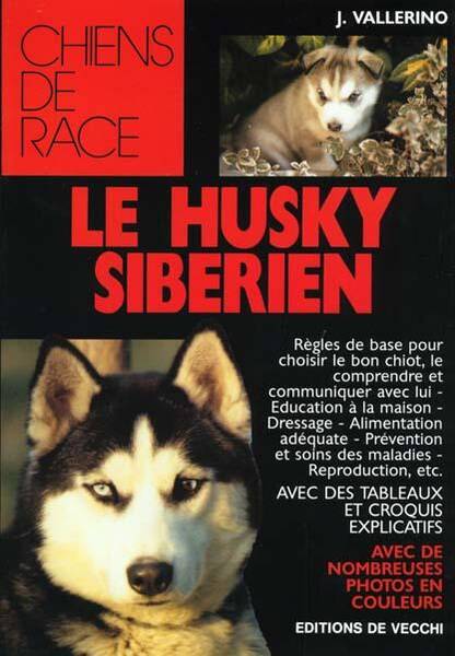 Le Husky Siberien