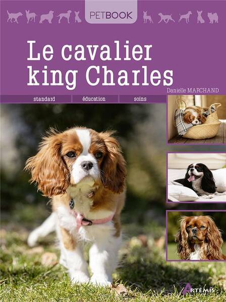 Le cavalier King Charles