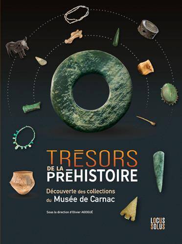 Tresors de la Prehistoire Dans les Collections du Musee de Carnac