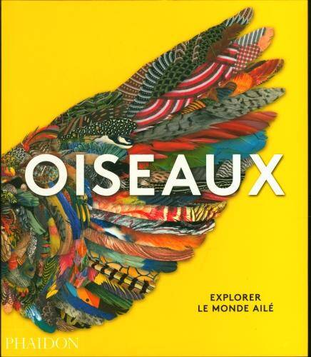 Oiseaux : explorer le monde ailé