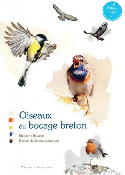 Oiseaux du Bocage Breton