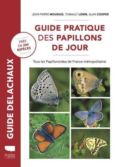 Guide Pratique des Papillons de Jour de