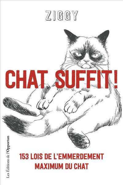 Chat suffit ! : 153 lois de l'emmerdement maximal du chat