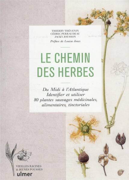 Le Chemin des Herbes Du Midi a l Atlantique: Identifier et Utiliser