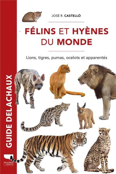 Felins et Hyenes du Monde. Lions, Tigres, Pumas, Ocelots et Apparentes