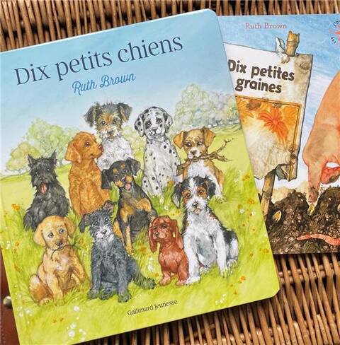 10 petits chiens