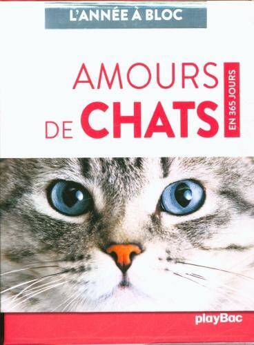 Amours de chats : en 365 jours