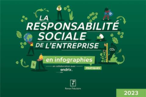 La Responsabilite Sociale de l Entreprise en Infographies Pratiques