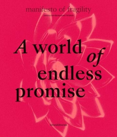 A World Of Endless Promise : Manifesto Of Fragility