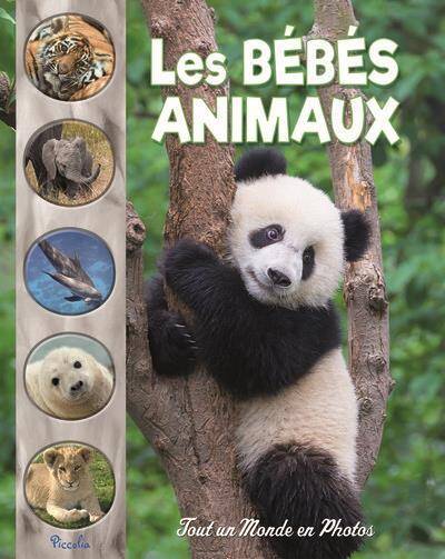 BEBES ANIMAUX