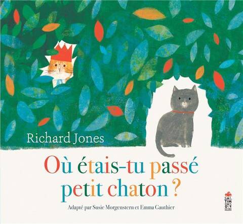 OU ETAIS-TU PASSE PETIT CHATON