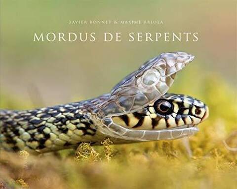 Mordus de Serpents