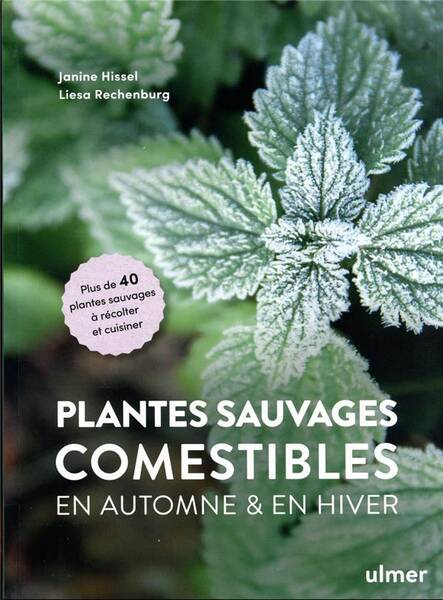Plantes Sauvages Comestibles a Recolter et Cuisiner en Automne et en