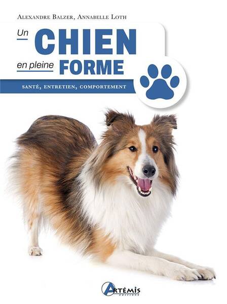 Un Chien en Pleine Forme : Sante, Entretien, Comportement