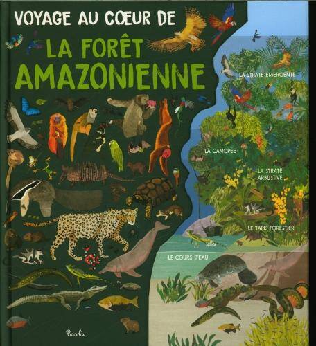 Voyage au coeur de la forêt amazonienne