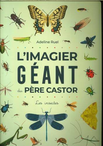 L'imagier géant du Père Castor : les insectes