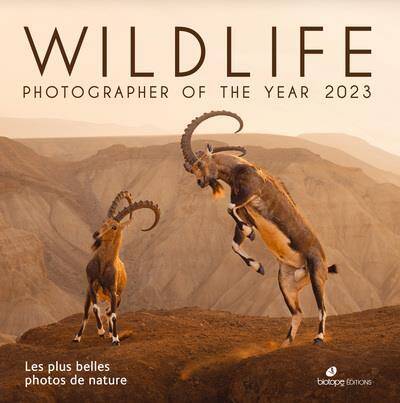 Wildlife Photographer Of The Year: Les Plus Belles Photos de Nature