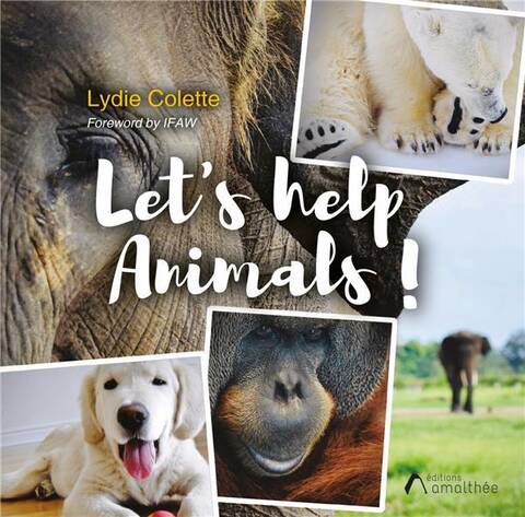 Let s help animals