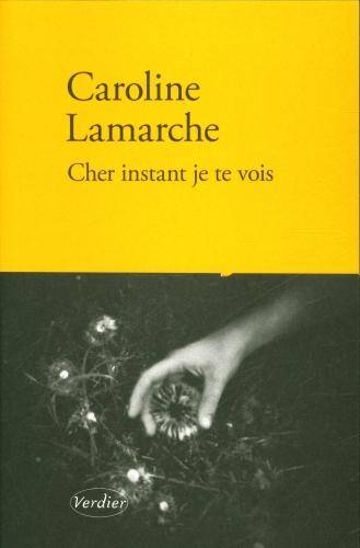 Cher instant je te vois : récit