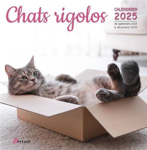 Chats Rigolos (Edition 2025)