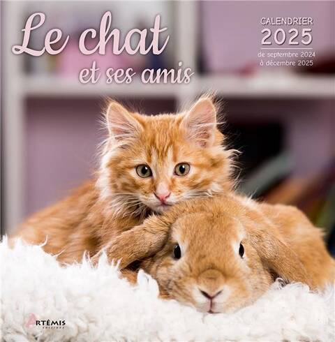 Le Chat et ses Amis (Edition 2025)