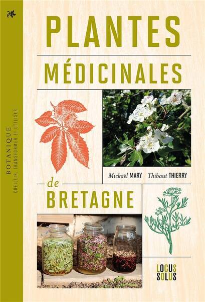 PLANTES MEDICINALES DE BRETAGNE