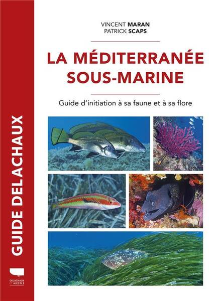 Guide Delachaux; la Mediterranee Sous Marine: Guide de la Faune et
