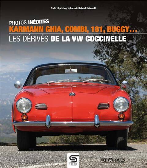 Karmann ghia combi 181 buggy