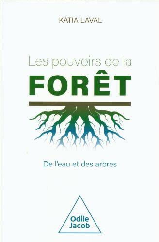 Les pouvoirs de la forêt : de l'eau et des arbres