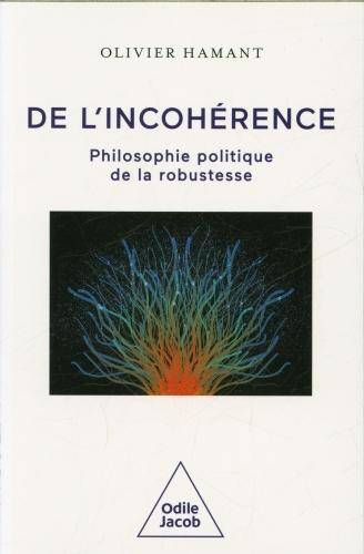 De l'incohérence : philosophie politique de la robustesse