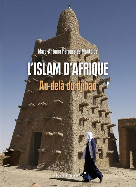L islam d afrique au dela du djihad