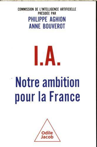 I.A. : notre ambition pour la France