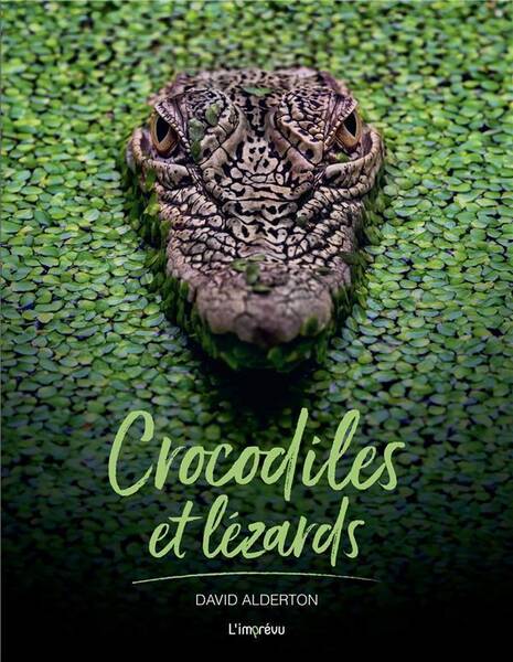 Crocodiles et Lezards