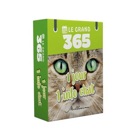 1 jour, 1 info chat : le grand 365