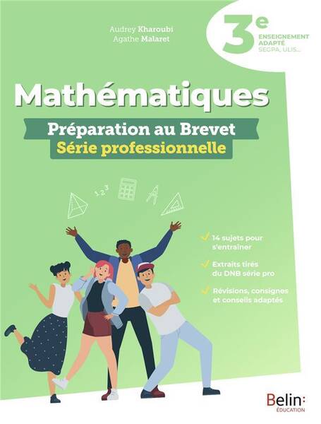 Mathematiques : Preparation Aubrevet, Serie Professionnelle