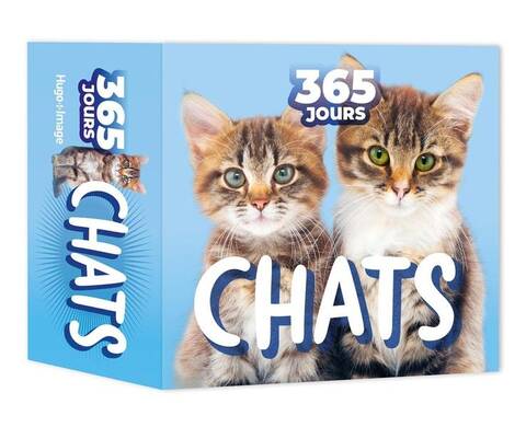 Chats 365 jours