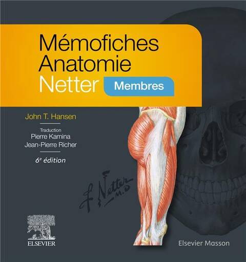 Memofiches anatomie netter membres