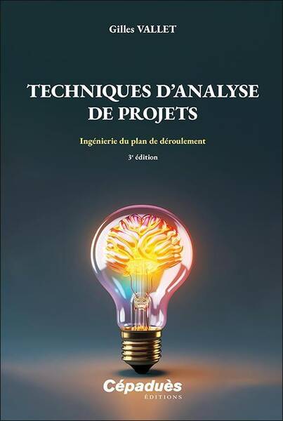 TECHNIQUES D ANALYSE DE PROJETS: INGENIERIE DU PLAN DE DEROULEMENT