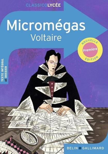 Micromegas