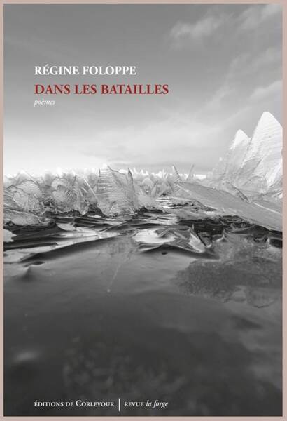 Dans les batailles